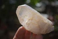 Natural Large Single Quartz Crystals  x 31 From Madagascar