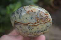 Polished Dendritic Opal Palm Stones  x 6 From Madagascar - Toprock Gemstones and Minerals 