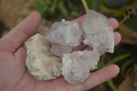 Natural Small Mixed Spirit Quartz Clusters / Crystals  x 24 From Boekenhouthoek, South Africa - TopRock