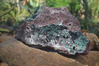 Natural Extra Large Drusy Coated Malachite On Red Dolomite Specimen x 1 From Likasi, Congo - Toprock Gemstones and Minerals 