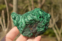 Natural Chatoyant Silky Malachite Specimens  x 5 From Kasompe, Congo - TopRock