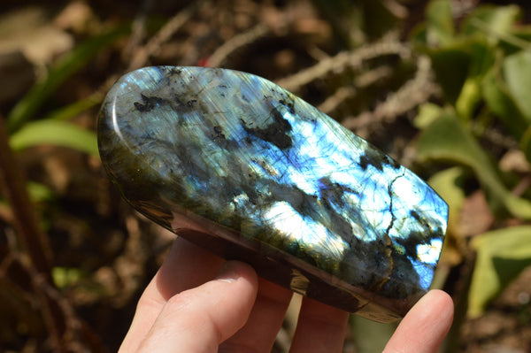 Polished Labradorite Standing Free Forms With Intense Blue & Gold Flash x 3 From Tulear, Madagascar - TopRock