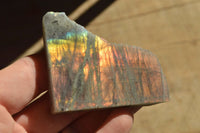 Polished Half Polished Purple Labradorite Slabs x 24 From Madagascar - TopRock