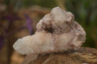 Natural White Fairy Spirit Quartz Clusters x 12 From Boekenhouthoek, South Africa