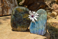 Polished Labradorite Standing Free Forms With Intense Blue & Gold Flash x 2 From Sakoany, Madagascar - TopRock