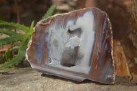 Polished One Side Polished Agate Free Forms  x 2 From Southern Africa