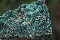 Natural Chatoyant Silky Malachite Specimens  x 6 From Kasompe, Congo - Toprock Gemstones and Minerals 