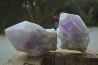 Natural Large Single Amethyst Crystals  x 3 From Mapatizya, Zambia - Toprock Gemstones and Minerals 