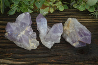 Natural Jacaranda Amethyst Clusters  x 3 From Mumbwa, Zambia - Toprock Gemstones and Minerals 