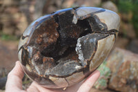 Polished Septerye Sauvage Dragons Egg Geode x 1 From Mahajanga, Madagascar