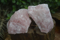 Natural Rough Pink Rose Quartz Specimens  x 4 From Namibia - Toprock Gemstones and Minerals 