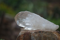 Natural Single Smokey Quartz Crystals  x 4.9 Kg Lot  From Zimbabwe - Toprock Gemstones and Minerals 