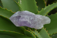 Polished Single Jacaranda Amethyst Crystals  x 6 From Zambia - Toprock Gemstones and Minerals 