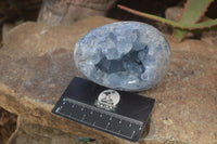 Polished Blue Celestite Egg Geodes  x 2 From Sakoany, Madagascar