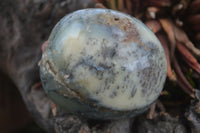 Polished Dendritic Opal Palm Stones  x 6 From Madagascar - Toprock Gemstones and Minerals 