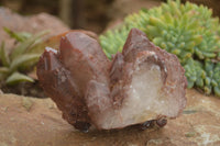 Natural Red Hematoid Quartz Specimens x 3 From Karoi, Zimbabwe - TopRock