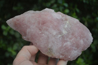 Natural Rough Pink Rose Quartz Specimens  x 4 From Namibia - Toprock Gemstones and Minerals 