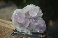 Natural Jacaranda Amethyst Clusters  x 3 From Zambia - Toprock Gemstones and Minerals 