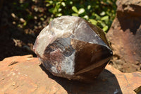 Natural Large Smokey Quartz Crystal With Polished Termination  x 1 From Melanje, Malawi - TopRock