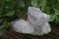 Natural Jacaranda Amethyst Clusters  x 3 From Mumbwa, Zambia - Toprock Gemstones and Minerals 