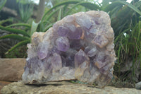 Natural Jacaranda Amethyst Cluster x 1 From Mumbwa, Zambia - TopRock