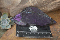 Polished One Side Polished Purpurite Free Forms x 12 From Erongo, Namibia