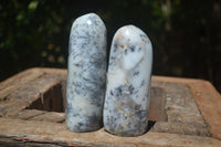 Polished Dendritic White Opal Standing Free Forms & Gallets x 6 From Madagascar - Toprock Gemstones and Minerals 