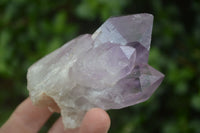 Natural Single Jacaranda Amethyst Crystals  x 12 From Zambia - Toprock Gemstones and Minerals 