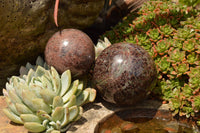 Polished Matrix Pyrope Garnet Spheres  x 3 From Madagascar - TopRock