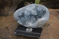 Polished Blue Celestite Crystal Centred Egg x 1 From Sakoany, Madagascar - Toprock Gemstones and Minerals 