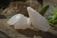 Natural Large Single Quartz Crystals  x 31 From Madagascar