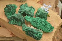 Natural Chatoyant Silky Malachite Specimens  x 6 From Kasompe, Congo - TopRock