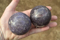 Polished Dark Purple Lepidolite Spheres x 4 From Madagascar - TopRock