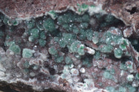 Natural Extra Large Drusy Coated Malachite On Red Dolomite Specimen x 1 From Likasi, Congo - Toprock Gemstones and Minerals 