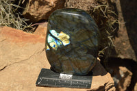 Polished Labradorite Standing Free Forms With Intense Blue & Gold Flash x 2 From Sakoany, Madagascar - TopRock