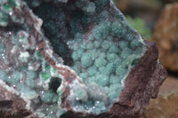 Natural Extra Large Drusy Coated Malachite On Red Dolomite Specimen x 1 From Likasi, Congo - Toprock Gemstones and Minerals 