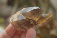 Natural Clear Smokey Quartz Crystals  x 12 From Malawi