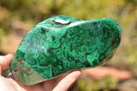 Polished Malachite Free Forms With Stunning Flower & Banding Patterns x 2 From Kolwezi, Congo - TopRock