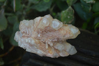 Natural Pink Candle Quartz Specimens   x 5 From Madagascar