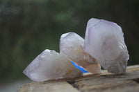 Natural Single Spirit Amethyst Quartz Crystals  x 24 From Boekenhouthoek, South Africa - Toprock Gemstones and Minerals 