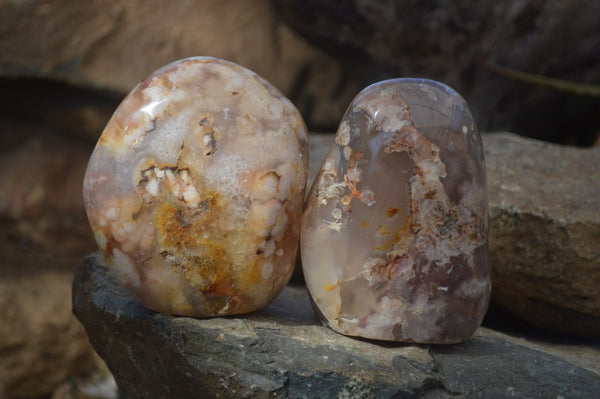 Polished Ocean  Flower Agate Standing Free Forms  x 2 From Madagascar