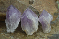 Polished Single Jacaranda Amethyst Crystals  x 6 From Zambia - Toprock Gemstones and Minerals 