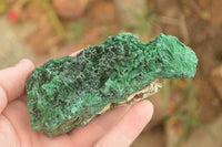 Natural Chatoyant Silky Malachite Specimens  x 6 From Kasompe, Congo - TopRock