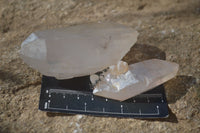 Natural Large Single Quartz Crystals  x 31 From Madagascar