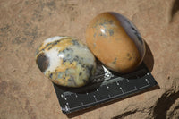 Polished Dendritic White Opal Standing Free Forms & Gallets x 6 From Madagascar - Toprock Gemstones and Minerals 