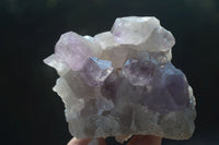 Natural Jacaranda Amethyst Clusters  x 3 From Zambia - Toprock Gemstones and Minerals 