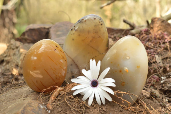 Polished Dendritic Agate Standing Free Forms  x 3 From Moralambo, Madagascar - TopRock