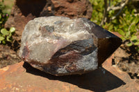 Natural Large Smokey Quartz Crystal With Polished Termination  x 1 From Melanje, Malawi - TopRock