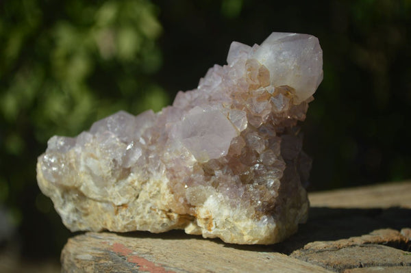 Natural Large Spirit Ametrine Quartz Specimens  x 3 From Boekenhouthoek, South Africa - Toprock Gemstones and Minerals 