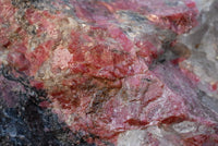 Natural Rhodonite Rough Specimen x 1 From Zimbabwe - TopRock